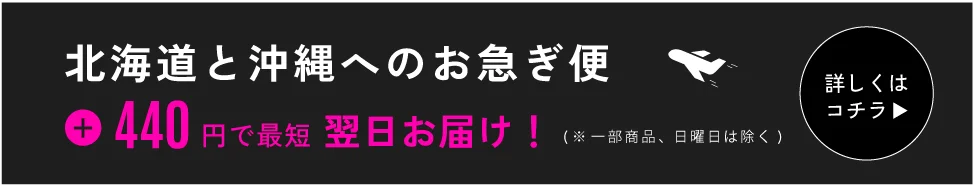 北海道と沖縄県お急ぎ便