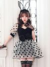 【2点セット】DOT BUNNY ドットバニー vcsbn-23907-1-my